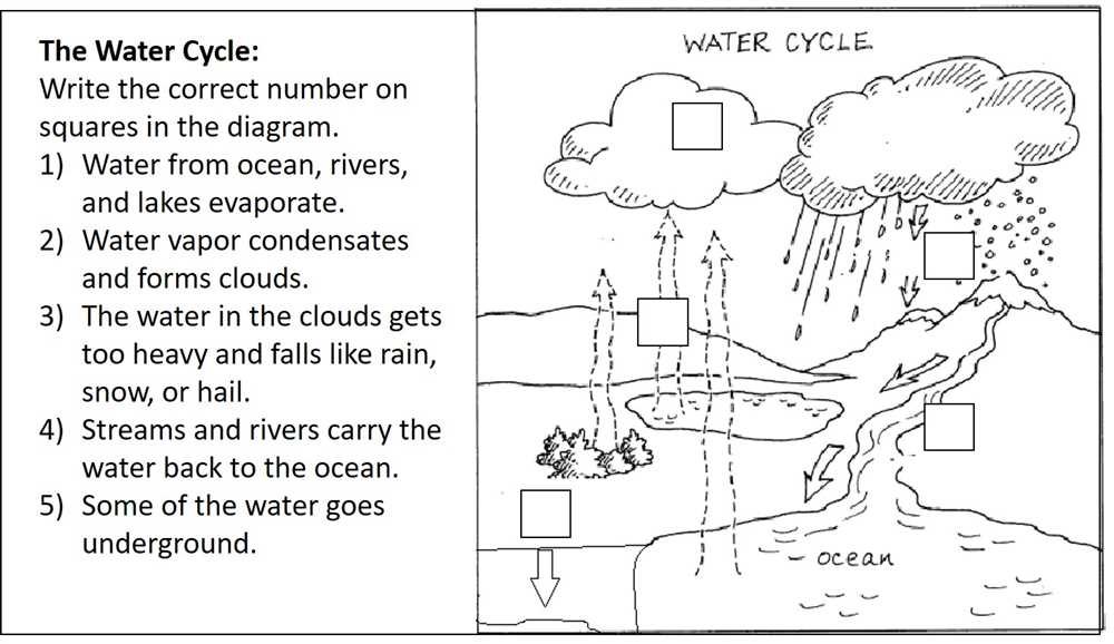 Water and aqueous systems worksheet answers