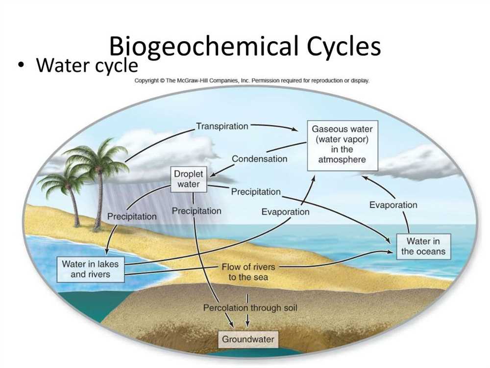 Biogeochemical cycles webquest answers