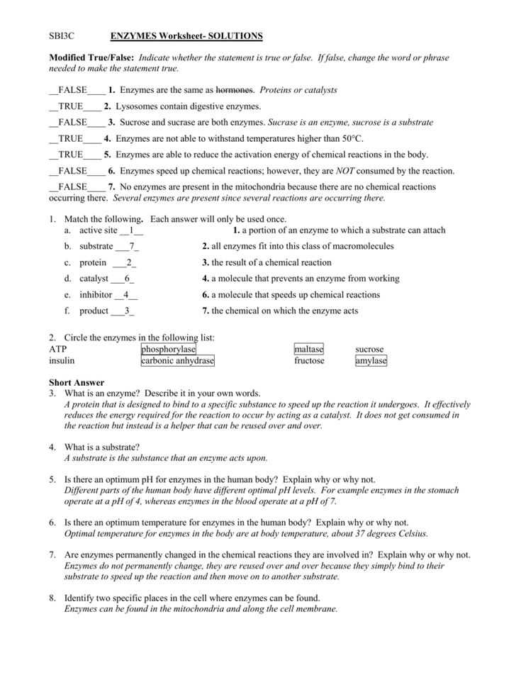 Factors Affecting Enzyme Activity