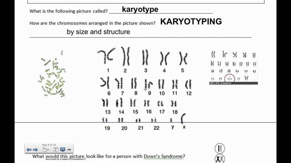 Troubleshooting: Double-check chromosome identification