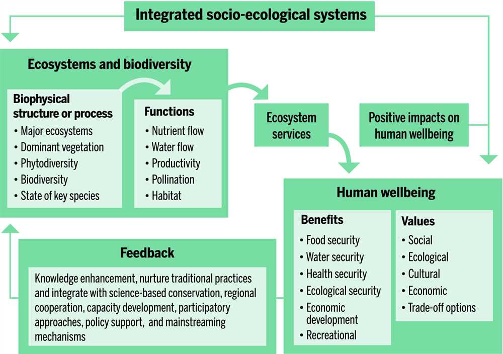 Relationships and biodiversity lab answer key