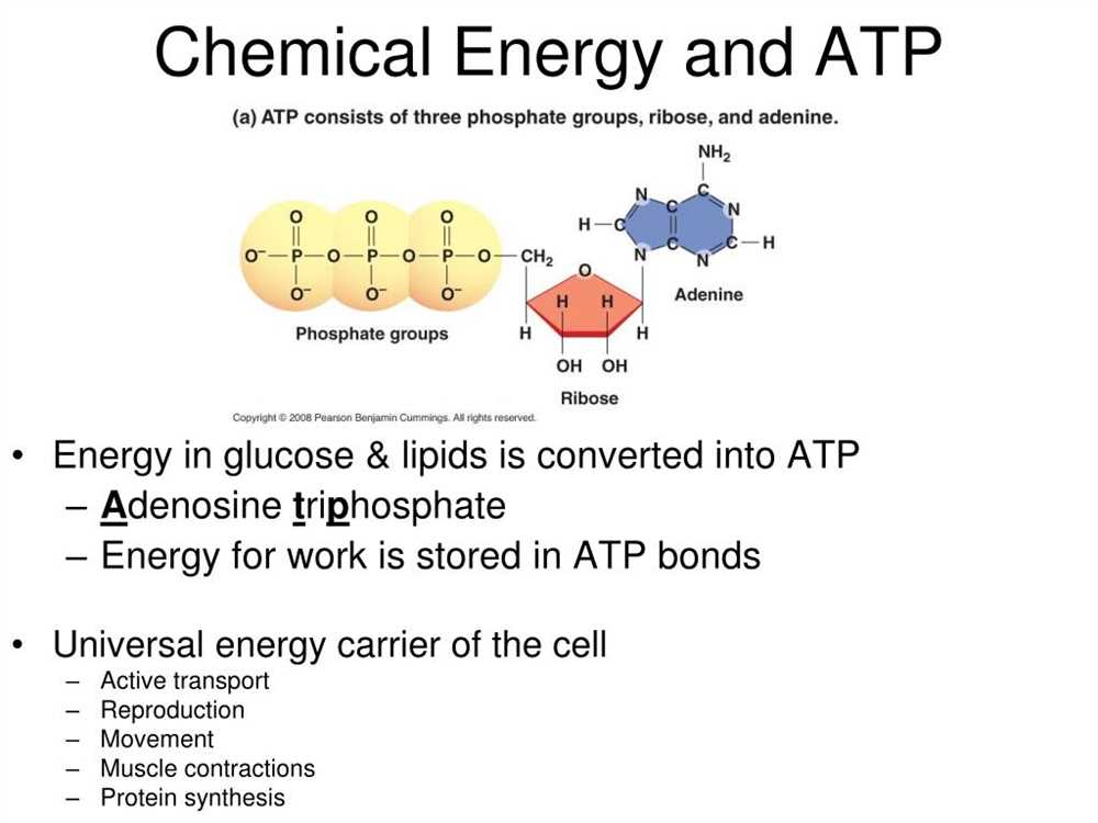 Atp Free Energy Carrier Pogil Answers