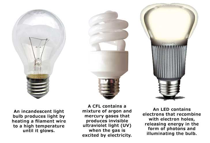 1. Incandescent Bulbs