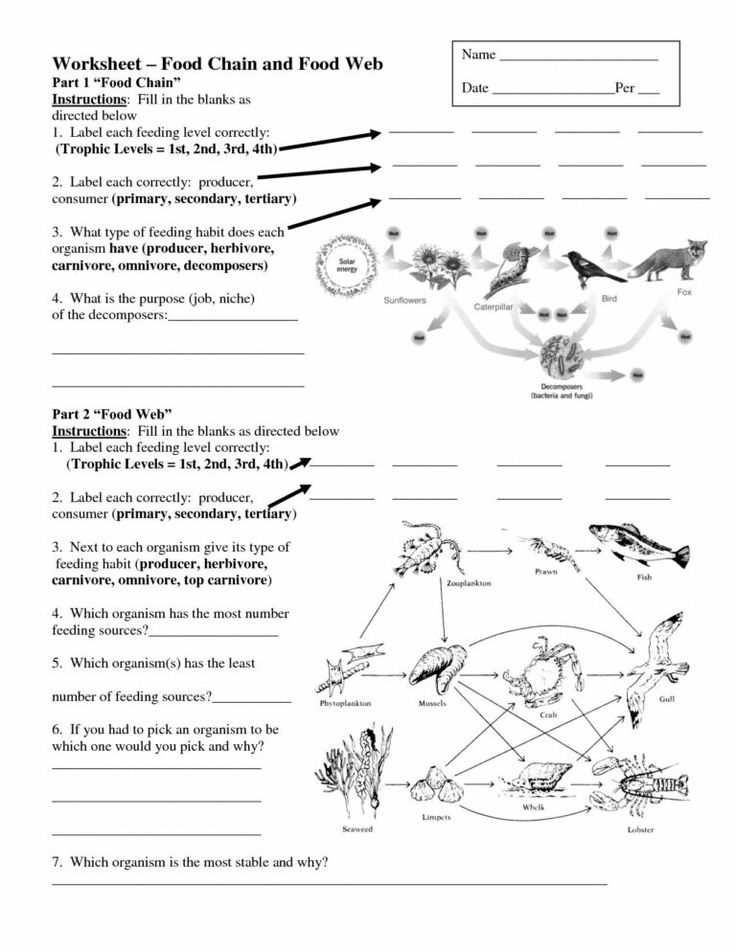  Tips for Analyzing Multiple Choice Questions 