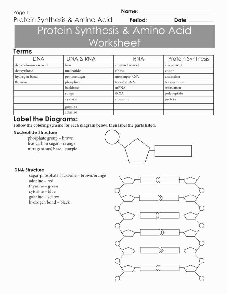 Lesson 8 Student Activity Sheet Biology Answers