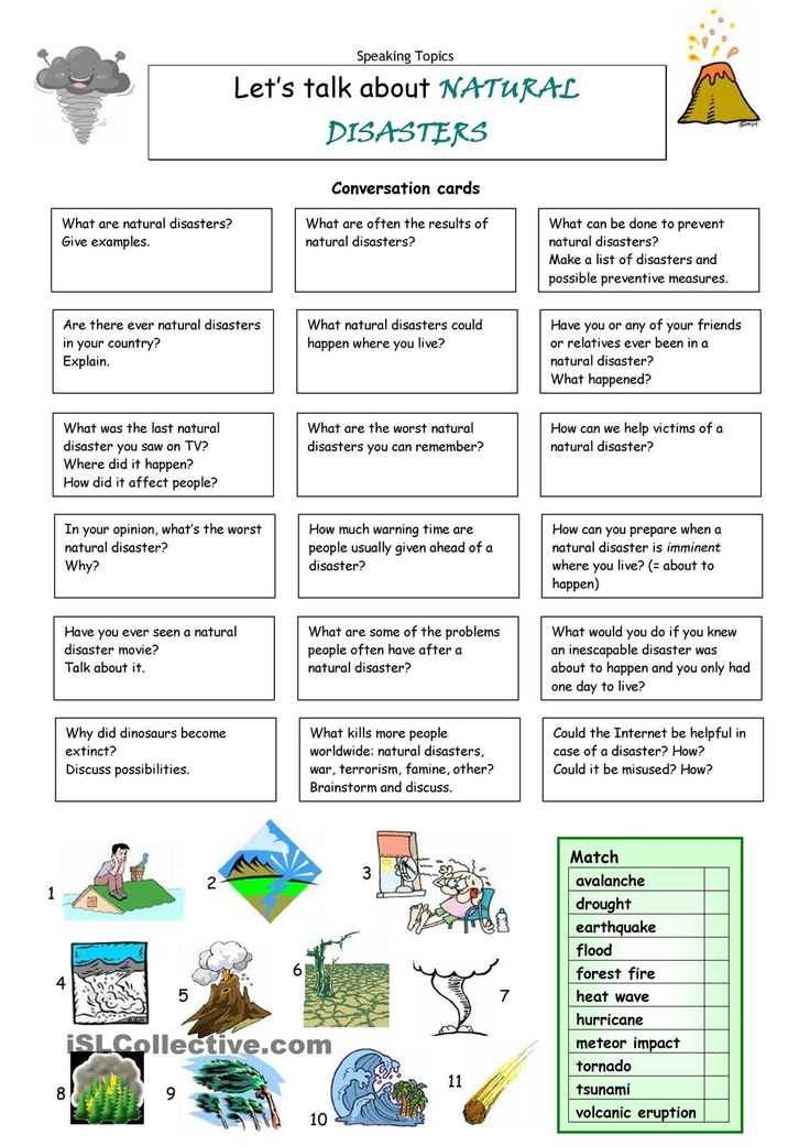 What are Ecology Task Cards?