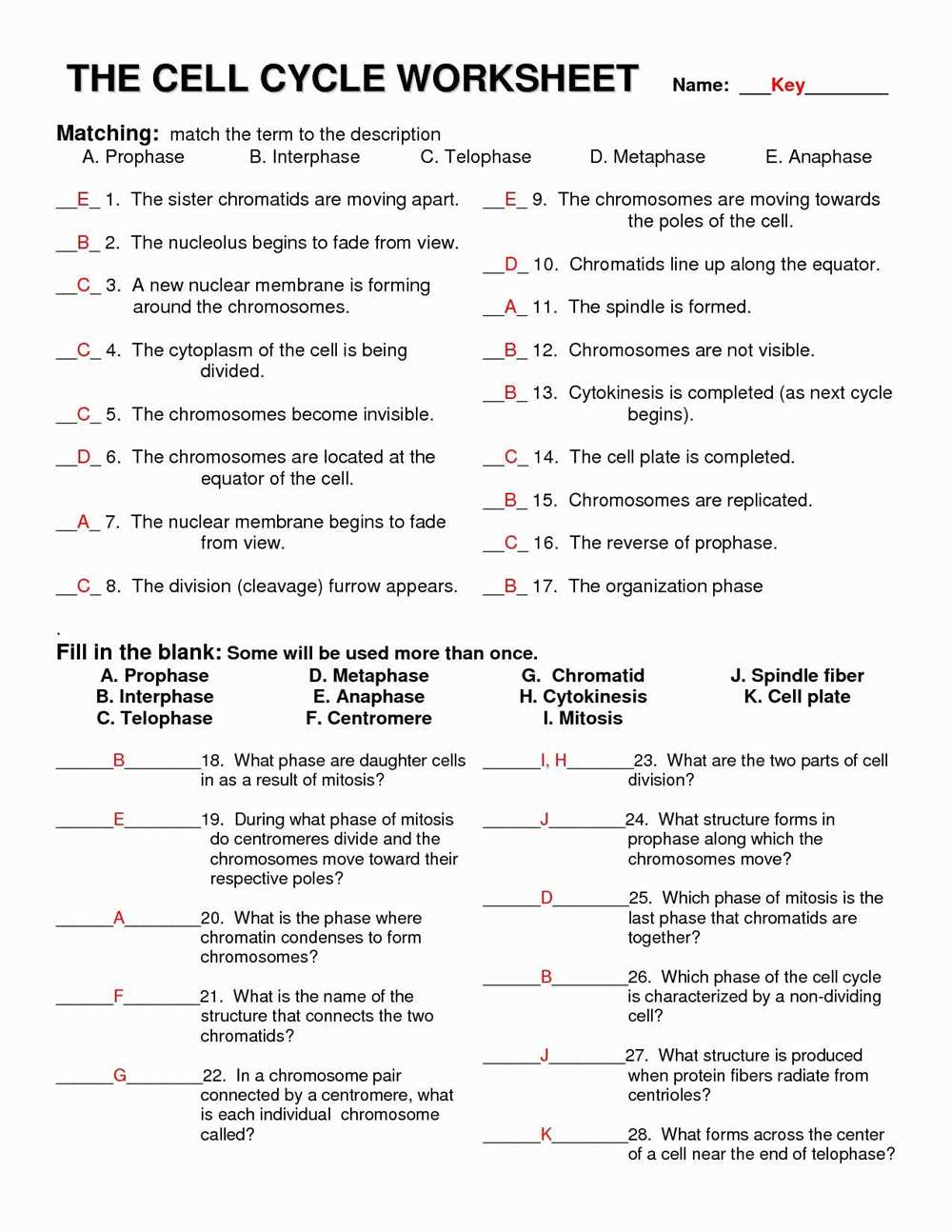 4. Create a study guide