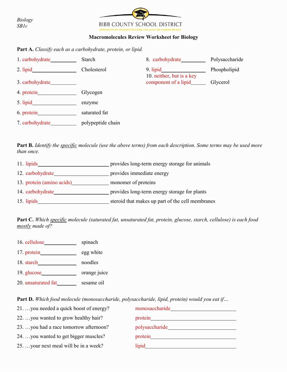 Macromolecules in my food answer key