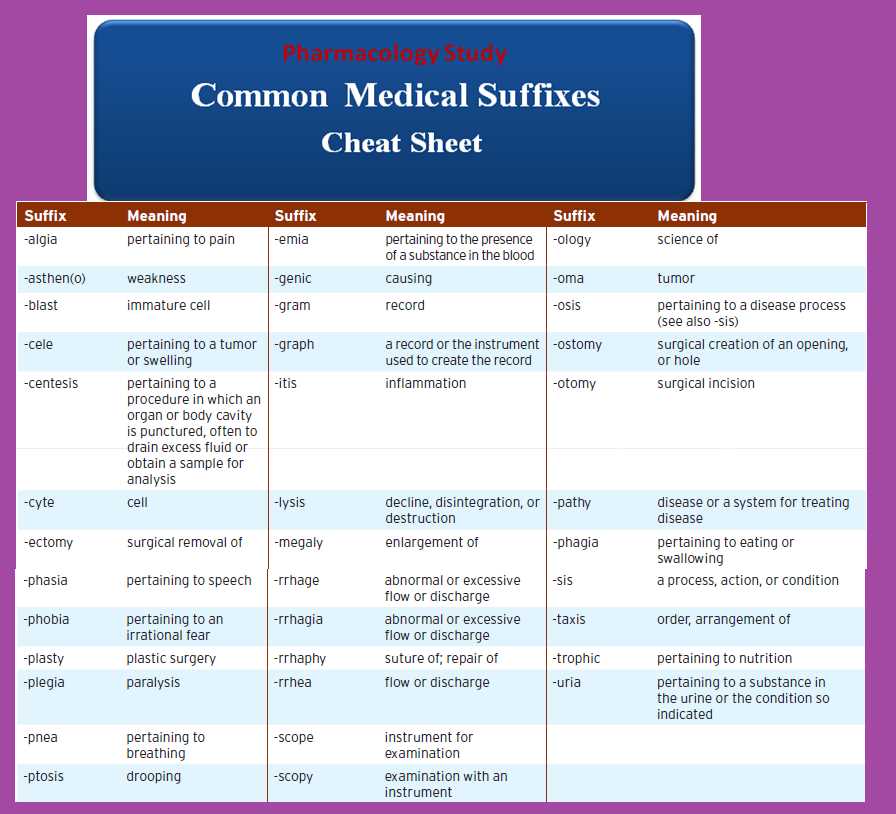Understanding Medical Prefixes