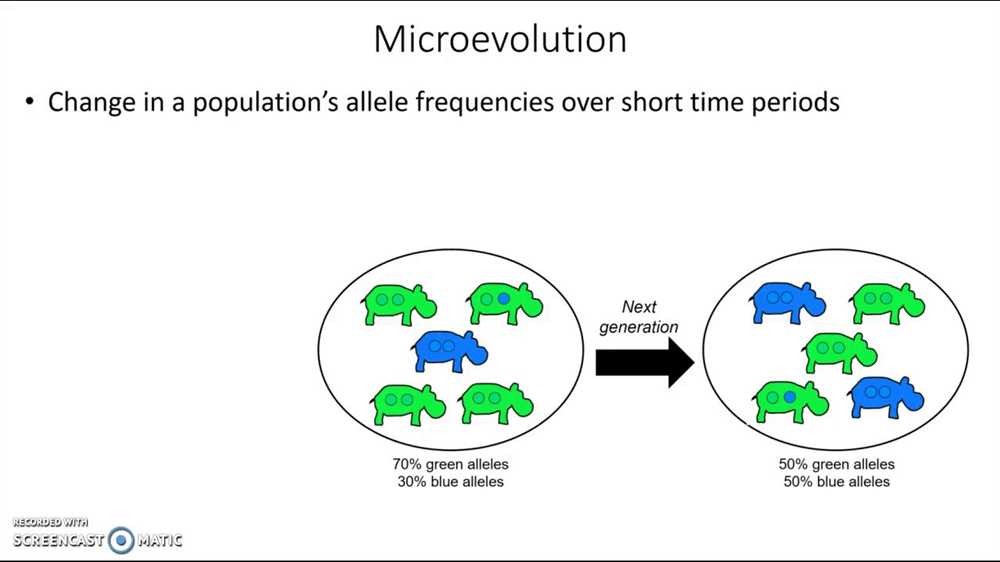 5. How can the Microevolution Gizmo be used in the classroom?