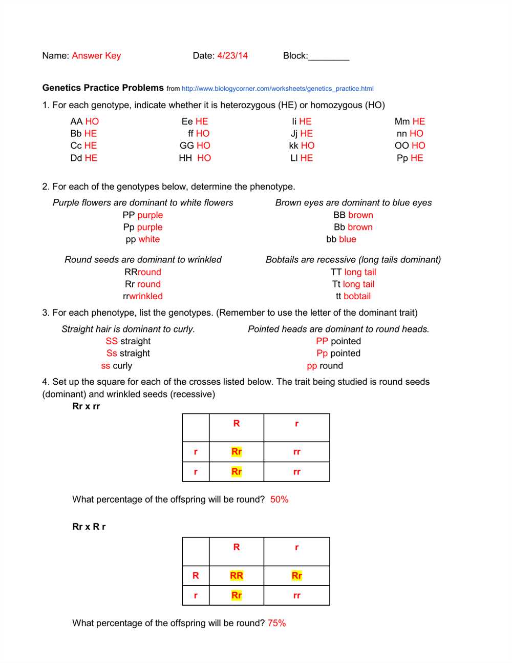 Understanding the Key Concepts of Monohybrid Practice