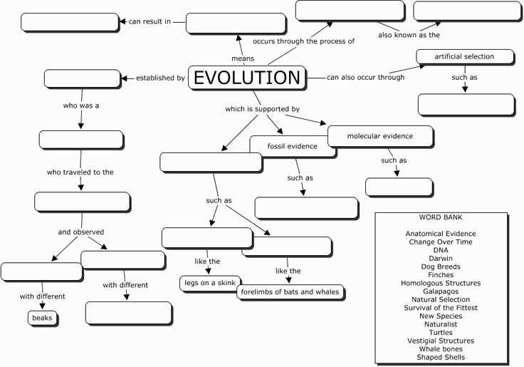 Natural Selection Lab Experiment