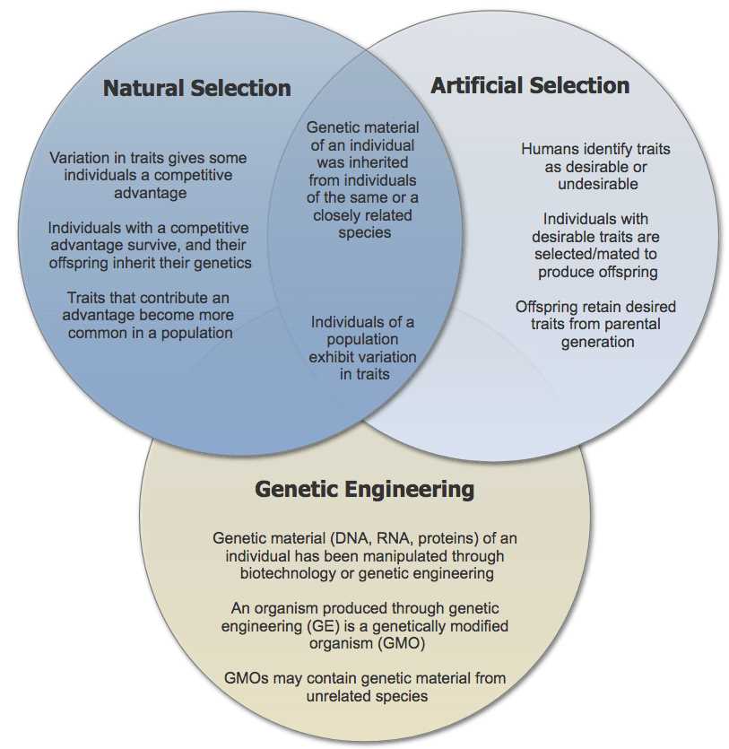 Natural selection webquest answer key