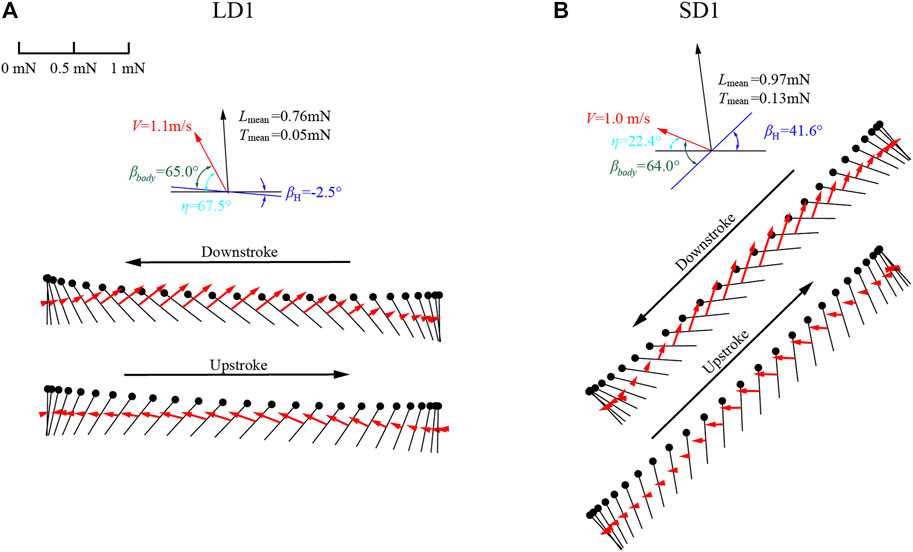 Newton's Laws Applied to Aerodynamic Forces