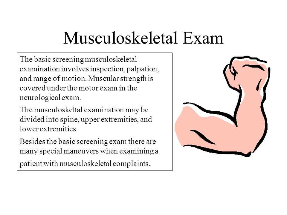 The Importance of Testing the Musculoskeletal System