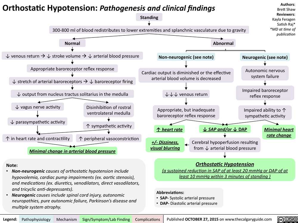 Cardiovascular Diseases: Exploring the Pathophysiology and Diagnostic Strategies