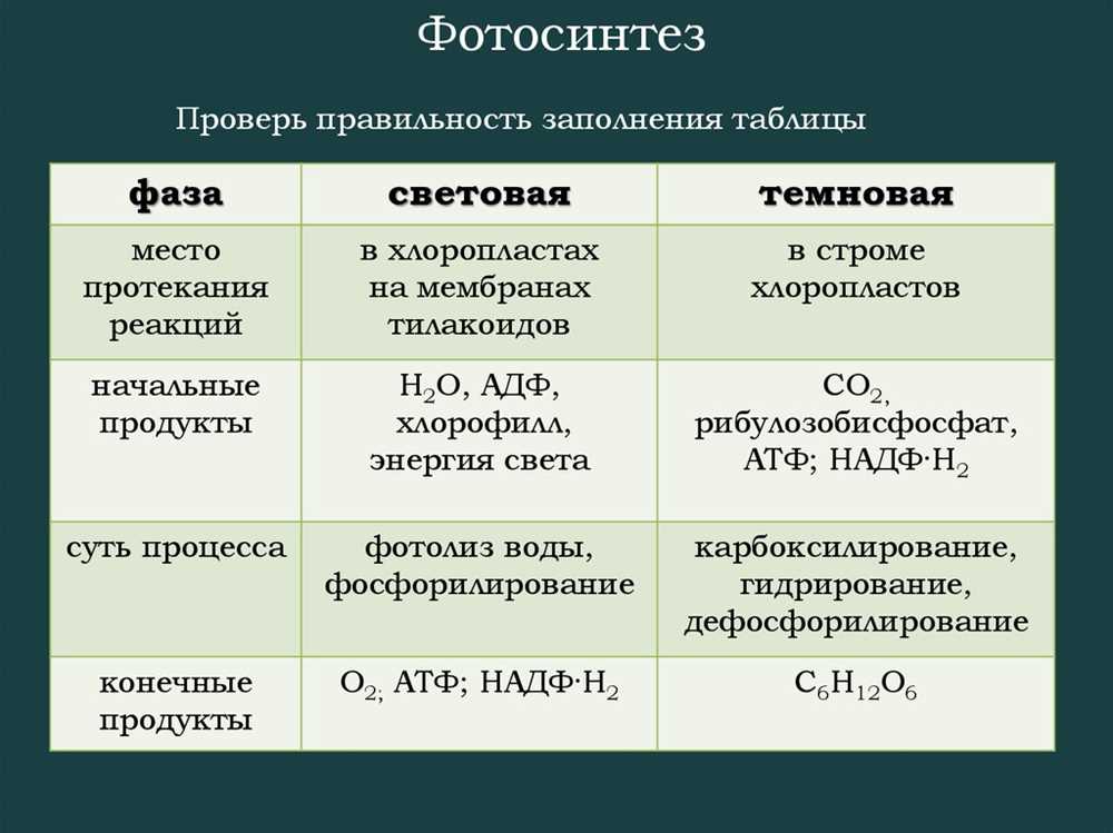 4 3 photosynthesis in detail answer key