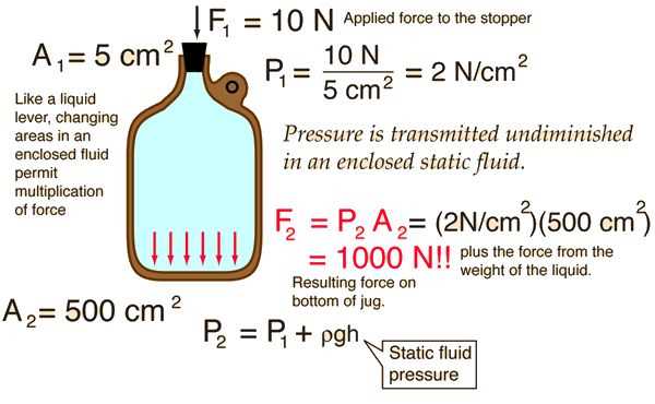 Section 13 2 Forces and Pressure in Fluids Answers