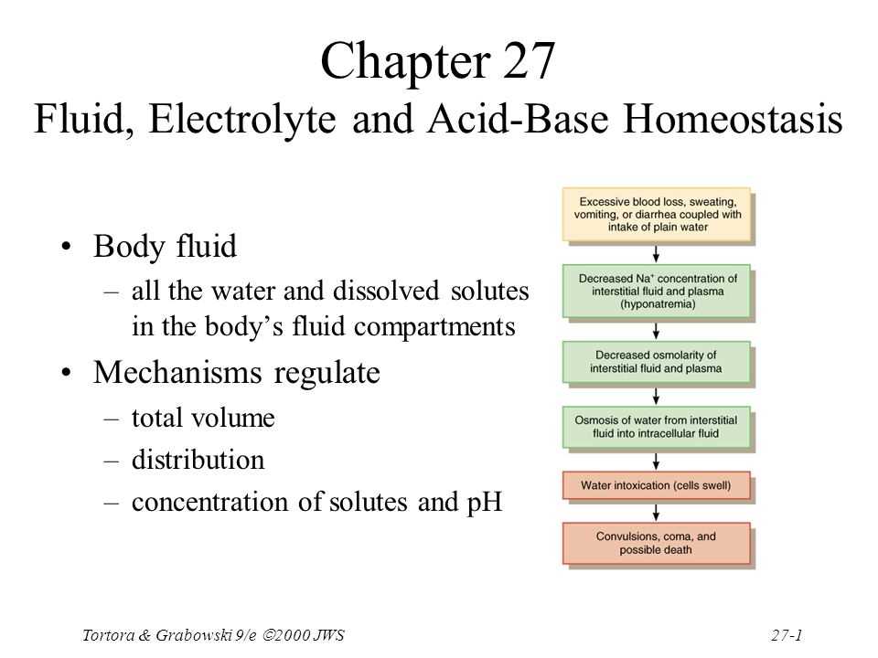 How Does Fluid Balance Affect the Body?