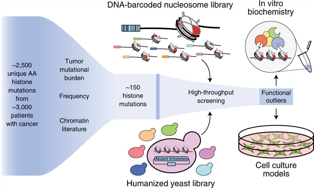 Investigating DNA Proteins