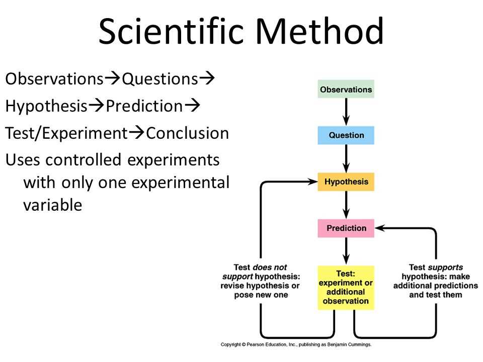 Biology fall final exam review answers