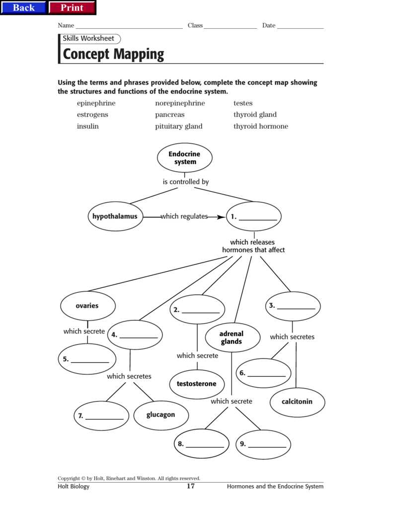 Chapter 9 endocrine system worksheet answer key