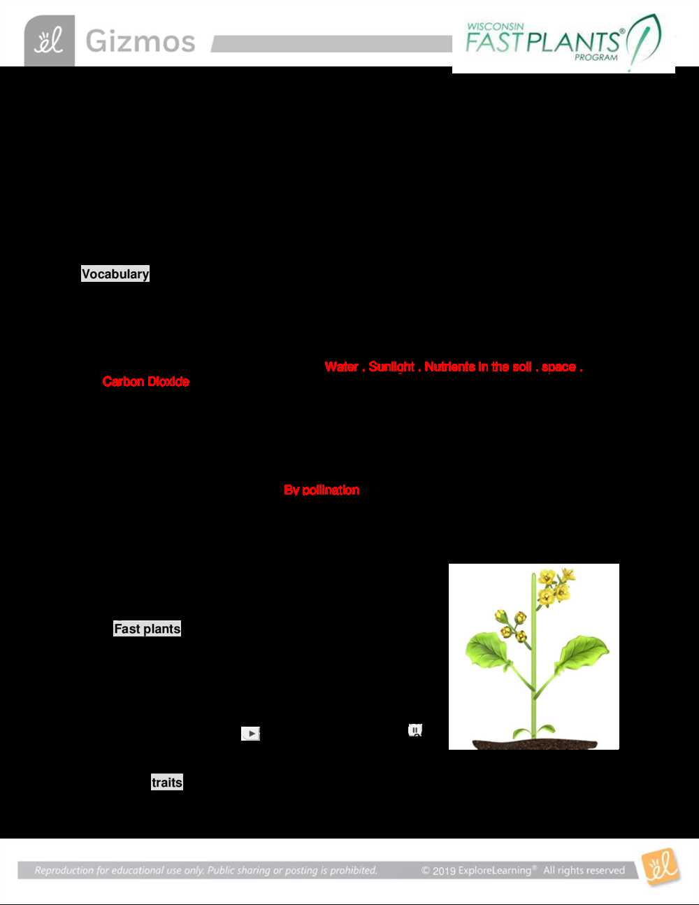 De olde unicorn genetics answer key