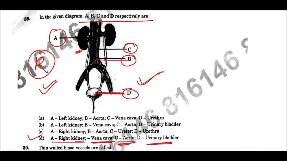 Life science answer key