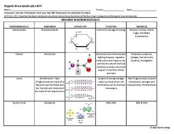 Pattern matching organic molecules answer key