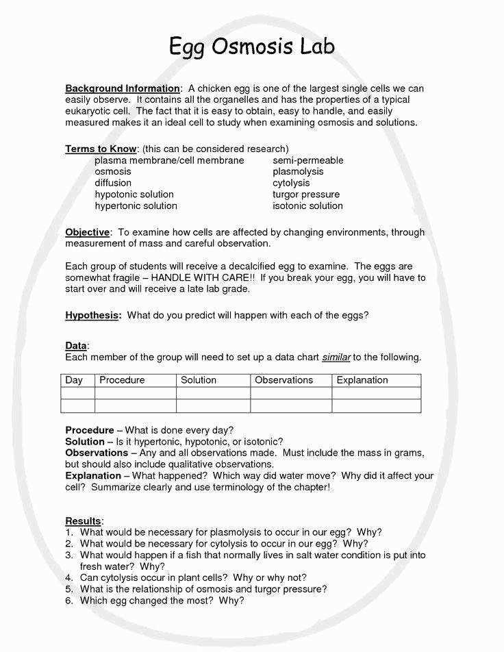 Osmosis Jones Worksheet Answers: A Comprehensive Guide