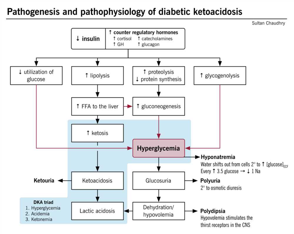 Respiratory Disorders: Examining the Pathophysiology and Clinical Manifestations