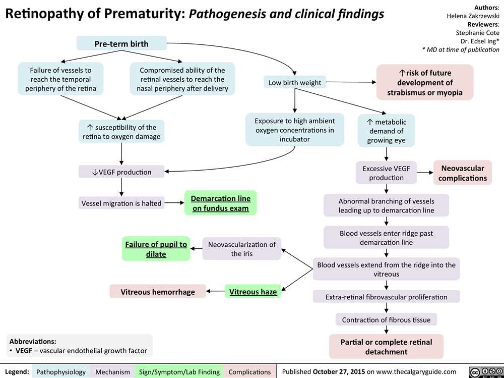 Importance of Exam 1 in Pathophysiology