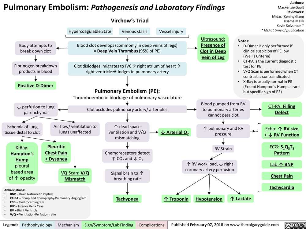 Respiratory System Disorders