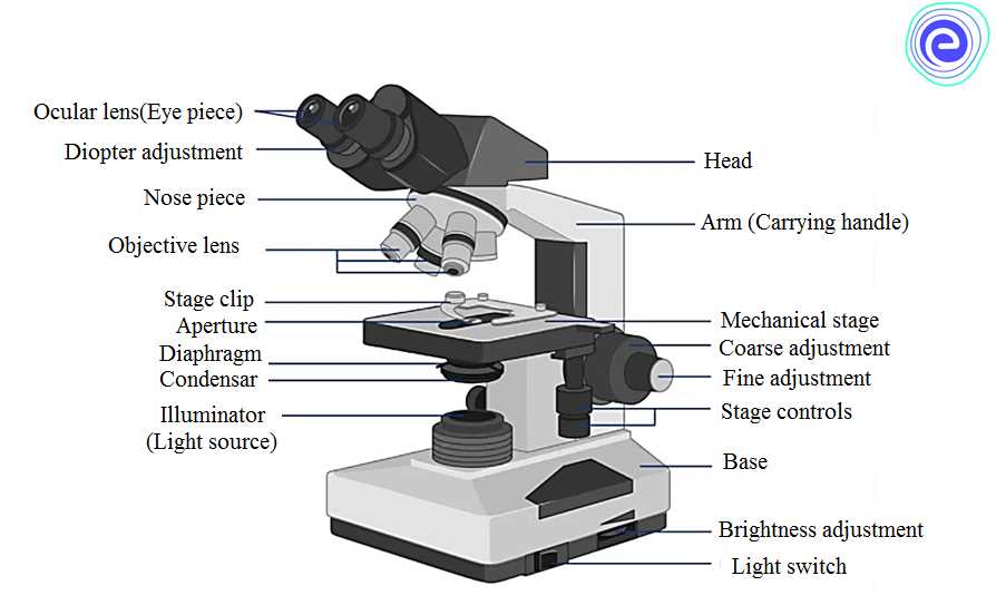 Eyepiece or ocular lens