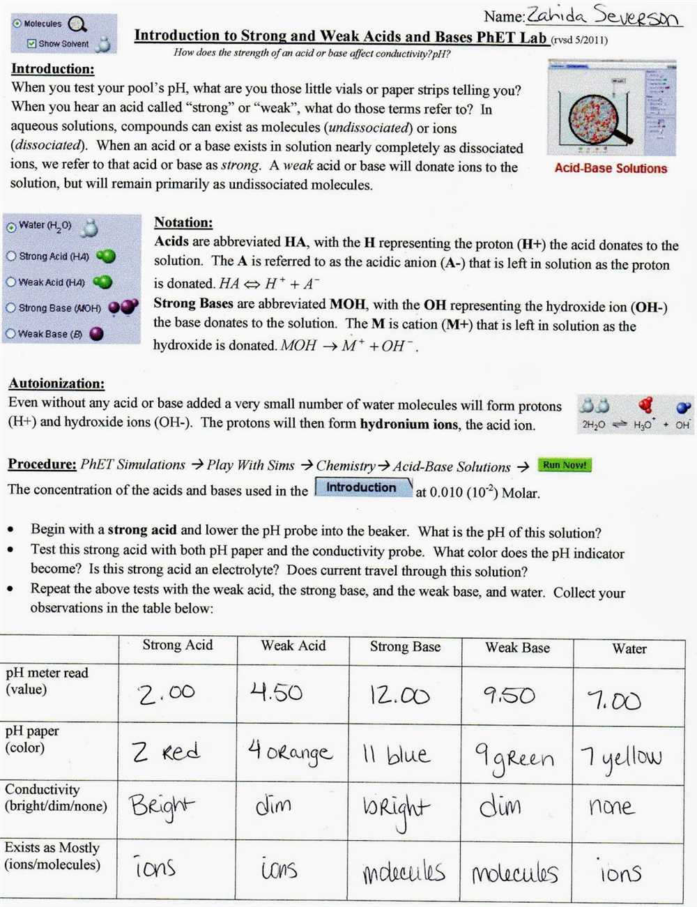 Understanding the Phet Neuron Simulation Worksheet