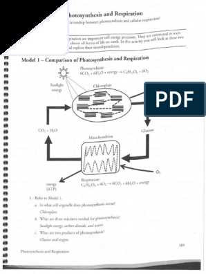 The Ultimate Guide to Plant Hormones: POGIL Answer Key Revealed