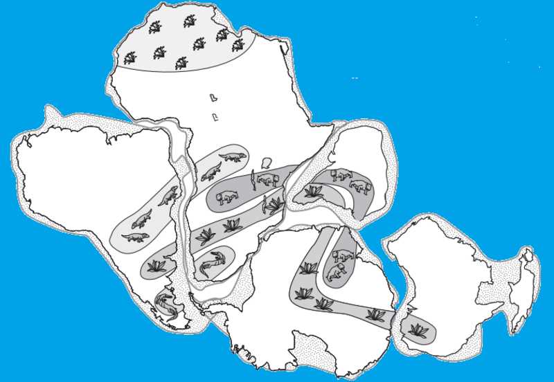 What is Plate Tectonics?