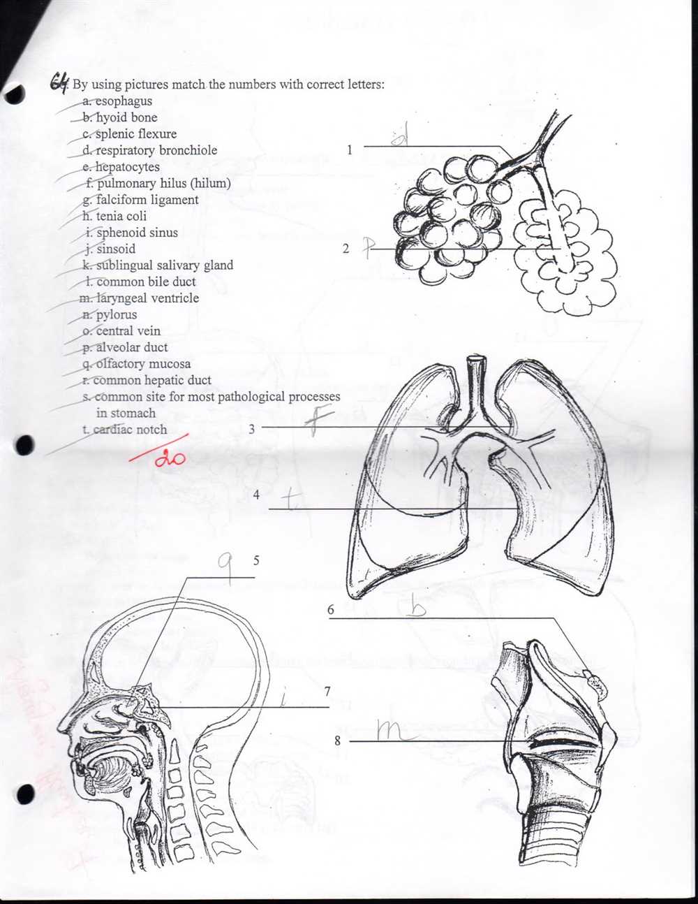 How to Register and Schedule the Portage Learning Anatomy and Physiology 1 Final Exam