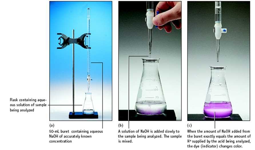 Purpose of the Experiment