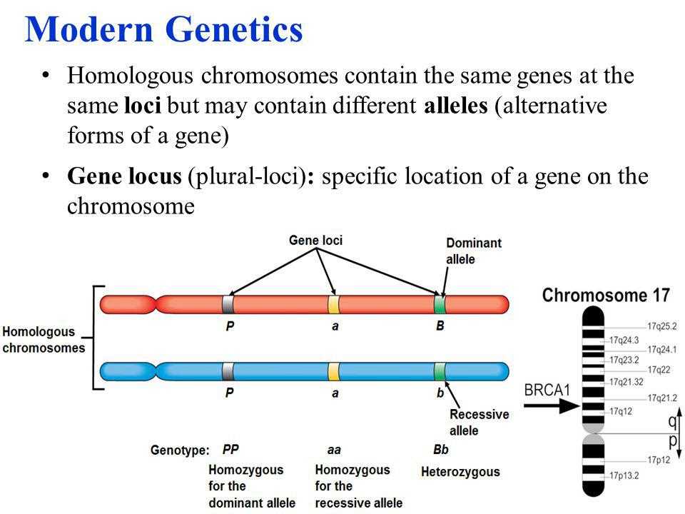 Genes and Human Disease: How Genetics Influence Health