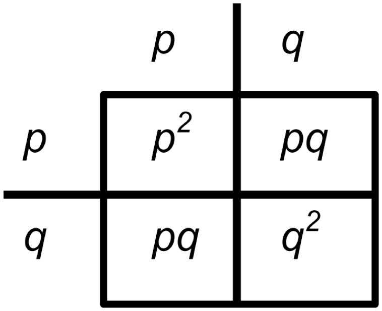 Understanding Work Equilibrium and Free Energy: POGIL Answers Unveiled