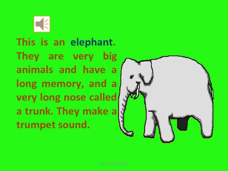 Shooting an elephant questions and answers pdf