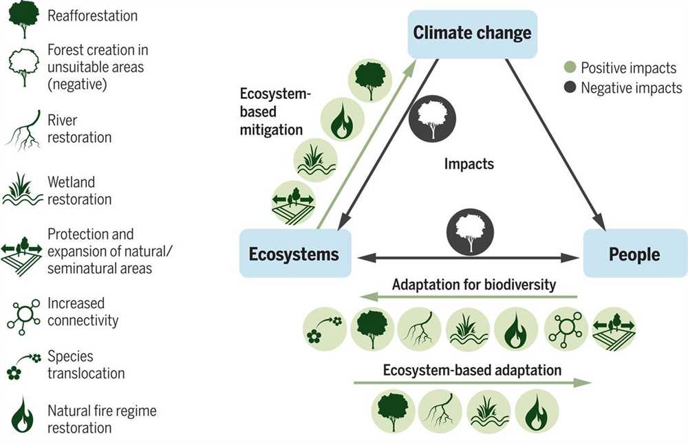 Importance of Quantifying Biodiversity