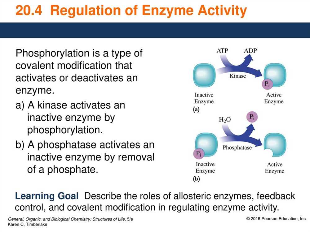 Enzymes in food