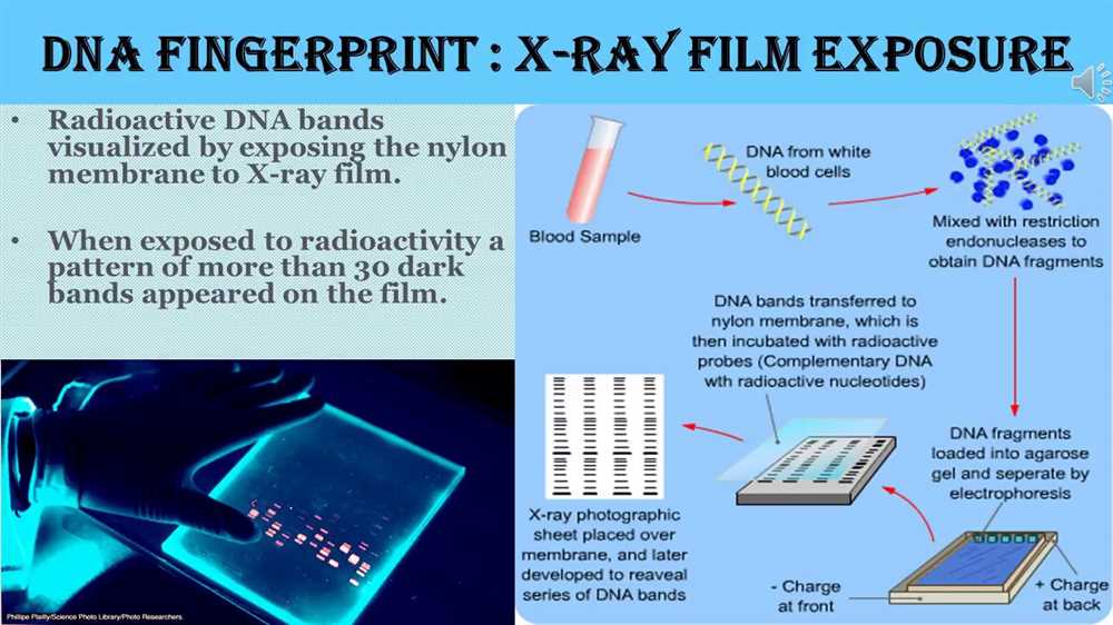 Challenges and Limitations in DNA Fingerprinting