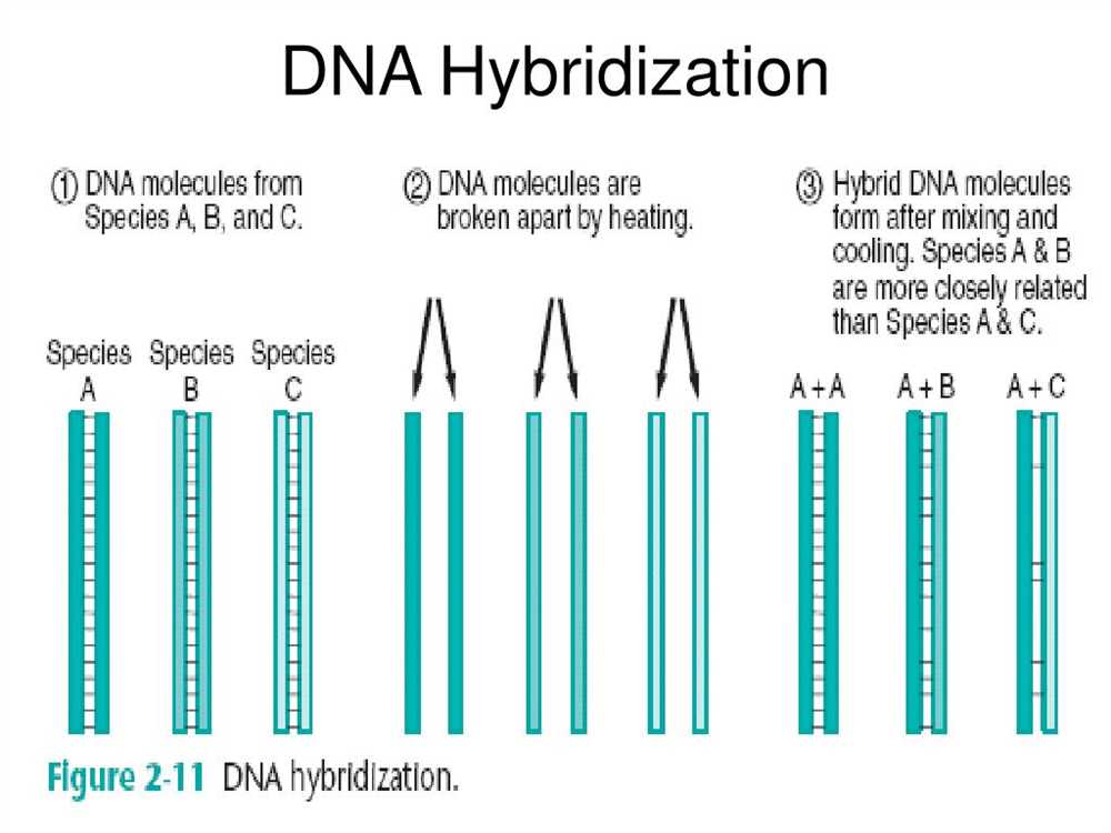 Relationships and biodiversity state lab pdf answers