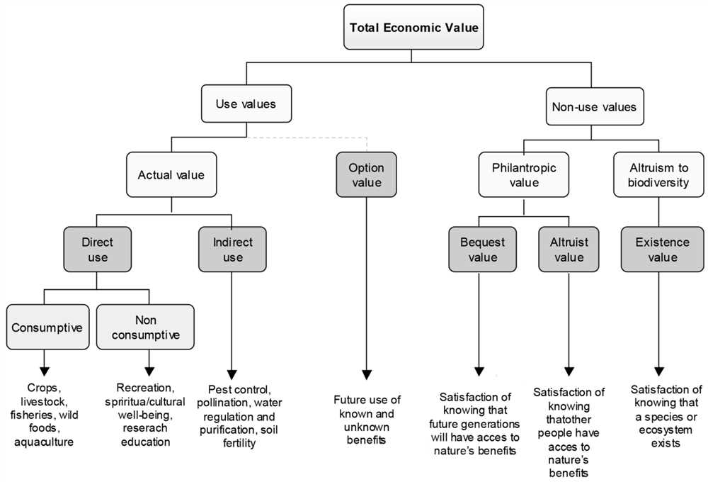 Importance of Relationships in Biodiversity