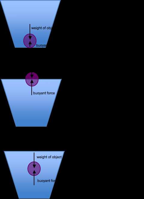 Section 13 3 Buoyancy Answers: Understanding the Concept