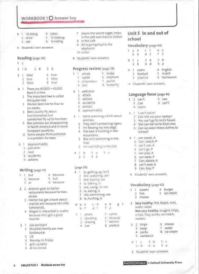 Signing Naturally Unit 5-8 Answer Key: What You Need to Know