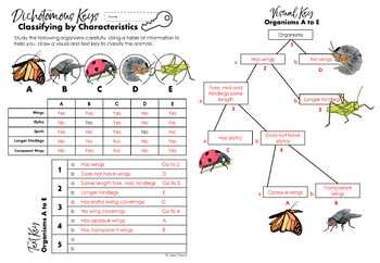 How are Dichotomous Keys Used?